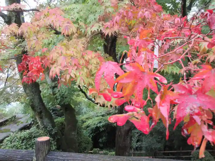 園城寺(三井寺)の自然
