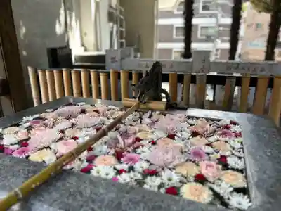高円寺氷川神社(東京都)