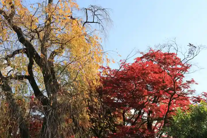 神炊館神社 ⁂奥州須賀川総鎮守⁂の自然