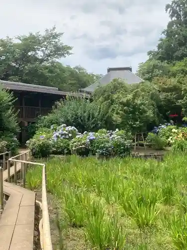 本土寺(千葉県)