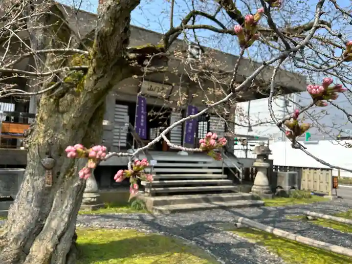 妙経寺(福井県)