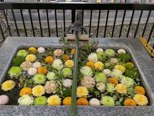 高円寺氷川神社(東京都)