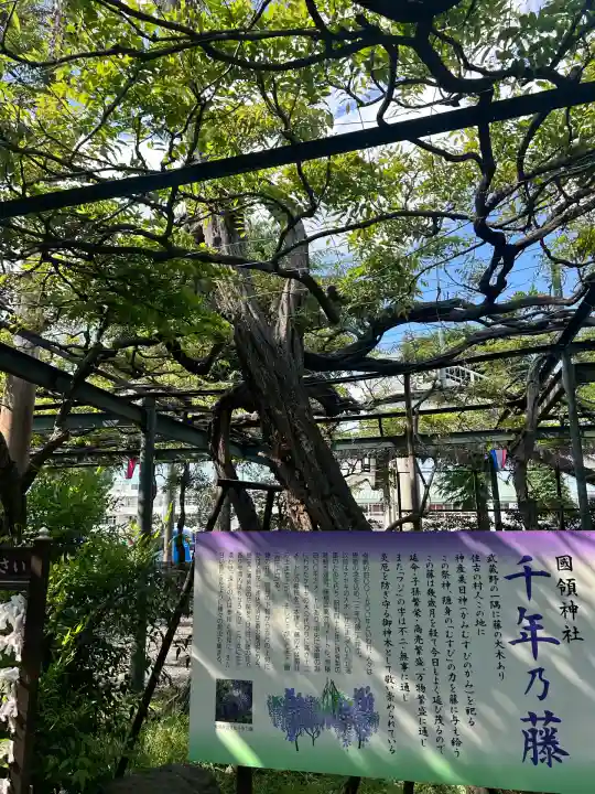 國領神社(東京都)