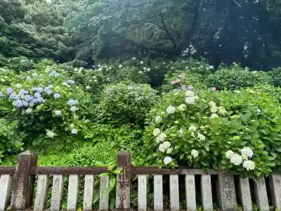粟井神社(香川県)