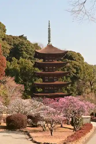 瑠璃光寺(山口県)