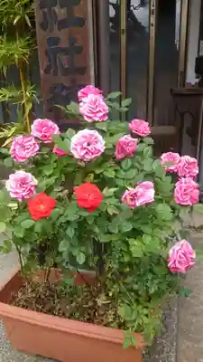 本郷氷川神社(東京都)