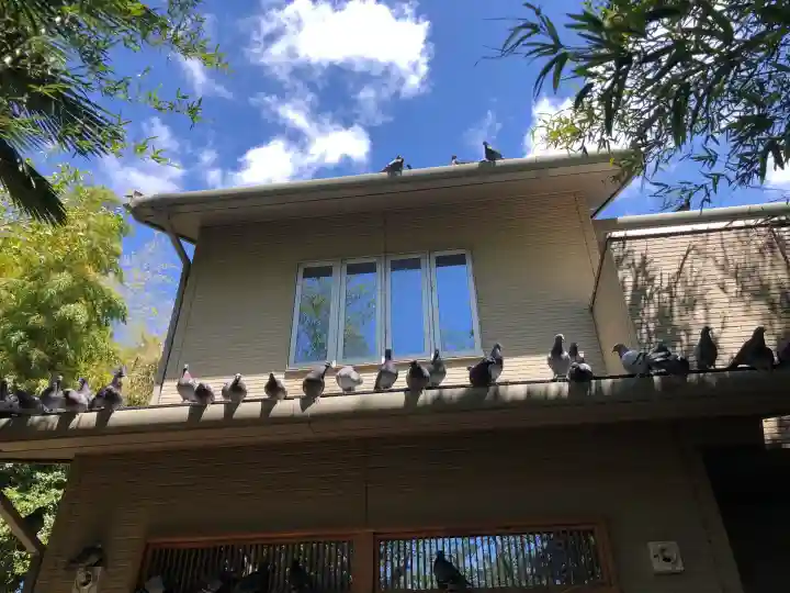 沖野八幡神社の{uncategorized: "未分類", other: "その他", undefined: "問題あり", building: "その他建物", grave: "お墓", sacred_gate: "鳥居", guardian: "狛犬", statue: "像", buddha: "仏像", history: "歴史", nature: "自然", garden: "庭園", animal: "動物", pagoda: "塔", temizu: "手水舎", mountain_gate: "山門・神門", sanctuary: "本殿・本堂", subordinate: "末社・摂社", art: "芸術", scenery: "景色", jizo: "地蔵", ema: "絵馬", goshuin: "御朱印", omikuji: "おみくじ", items: "授与品その他", amulet: "お守り", goshuincho: "御朱印帳", eats: "食事", festival: "お祭り", votive_dance: "神楽", shichigosan: "七五三参", wedding: "結婚式", experience: "体験その他", initially: "初詣", around: "周辺", anti_infection: "感染症対策"}