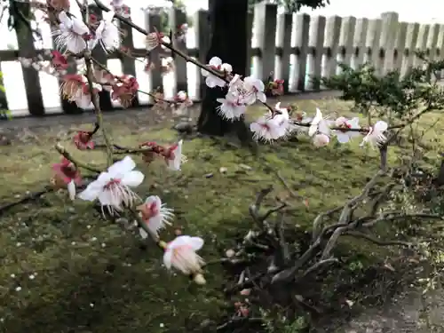 九所御霊天神社の庭園