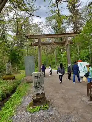 戸隠神社奥社の{uncategorized: "未分類", other: "その他", undefined: "問題あり", building: "その他建物", grave: "お墓", sacred_gate: "鳥居", guardian: "狛犬", statue: "像", buddha: "仏像", history: "歴史", nature: "自然", garden: "庭園", animal: "動物", pagoda: "塔", temizu: "手水舎", mountain_gate: "山門・神門", sanctuary: "本殿・本堂", subordinate: "末社・摂社", art: "芸術", scenery: "景色", jizo: "地蔵", ema: "絵馬", goshuin: "御朱印", omikuji: "おみくじ", items: "授与品その他", amulet: "お守り", goshuincho: "御朱印帳", eats: "食事", festival: "お祭り", votive_dance: "神楽", shichigosan: "七五三参", wedding: "結婚式", experience: "体験その他", initially: "初詣", around: "周辺", anti_infection: "感染症対策"}
