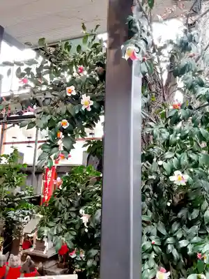 波除神社（波除稲荷神社）(東京都)