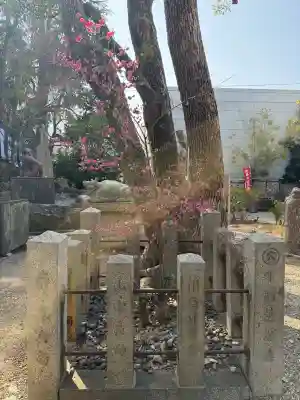 安居神社(大阪府)