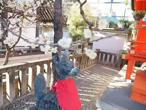 神田神社（神田明神）の自然