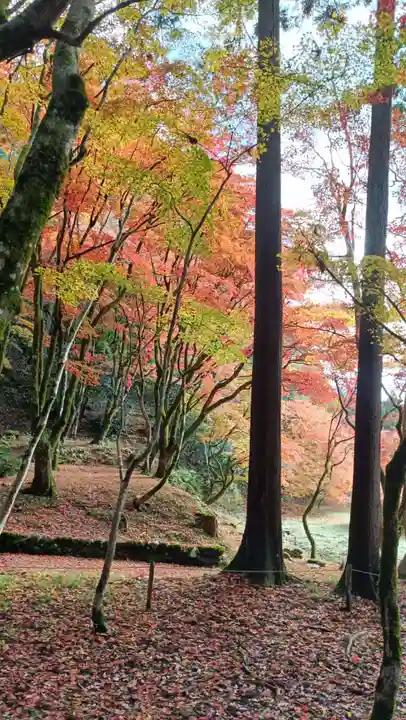 鶏足寺(滋賀県)