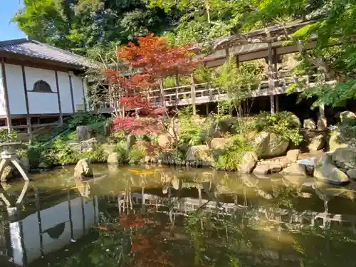 楽法寺（雨引観音）の庭園