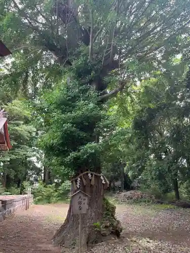津島神社(宮城県)