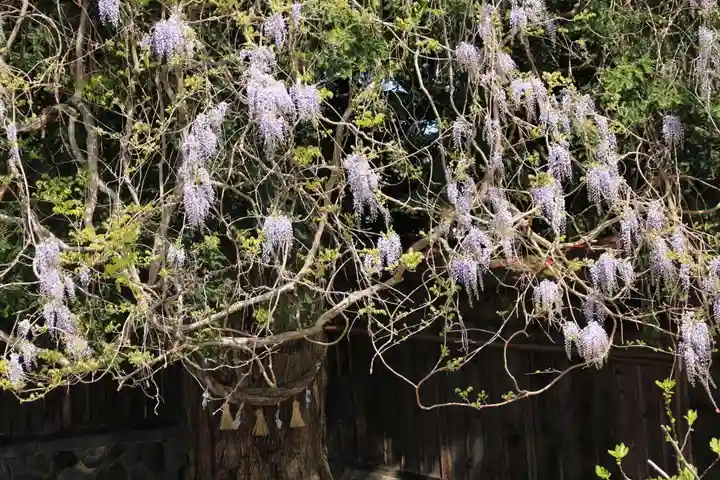 深山神社の庭園