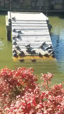 四天王寺(大阪府)