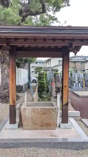 常雲寺の手水舎