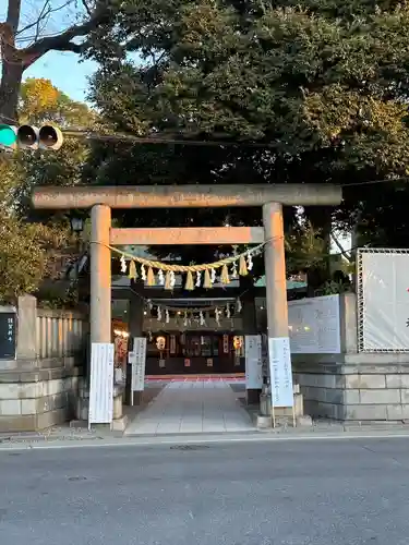 川越氷川神社(埼玉県)