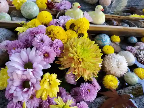 滑川神社 - 仕事と子どもの守り神の手水舎