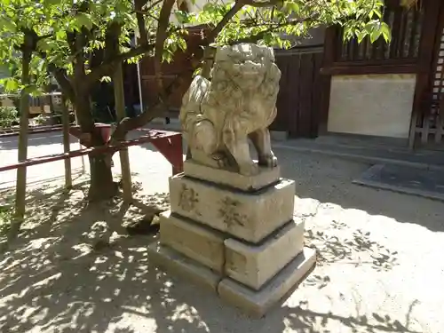 四貫島住吉神社の狛犬