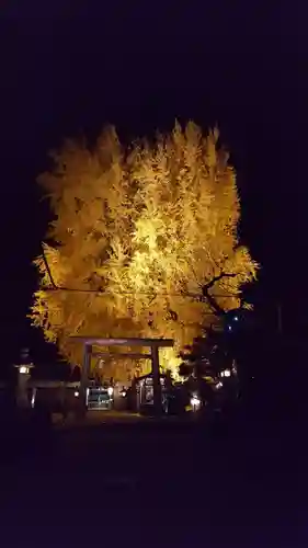 丹生酒殿神社のその他建物
