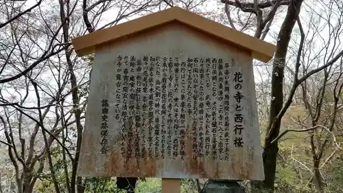 勝持寺（花の寺）の歴史