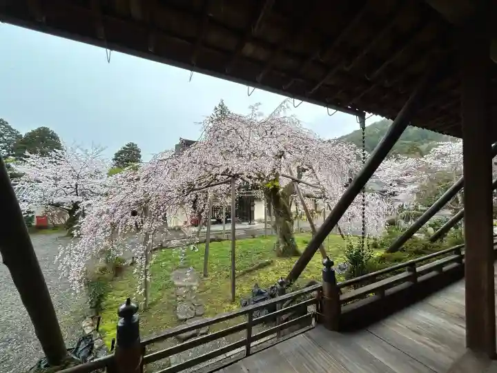 毘沙門堂門跡の{uncategorized: "未分類", other: "その他", undefined: "問題あり", building: "その他建物", grave: "お墓", sacred_gate: "鳥居", guardian: "狛犬", statue: "像", buddha: "仏像", history: "歴史", nature: "自然", garden: "庭園", animal: "動物", pagoda: "塔", temizu: "手水舎", mountain_gate: "山門・神門", sanctuary: "本殿・本堂", subordinate: "末社・摂社", art: "芸術", scenery: "景色", jizo: "地蔵", ema: "絵馬", goshuin: "御朱印", omikuji: "おみくじ", items: "授与品その他", amulet: "お守り", goshuincho: "御朱印帳", eats: "食事", festival: "お祭り", votive_dance: "神楽", shichigosan: "七五三参", wedding: "結婚式", experience: "体験その他", initially: "初詣", around: "周辺", anti_infection: "感染症対策"}