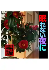 耕田院(山形県)(2024年04月02日(火) 04時21分28秒投稿)