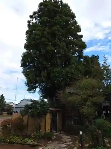 八幡神社(新潟県)