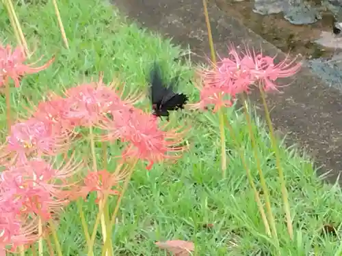 横浜　西方寺(神奈川県)
