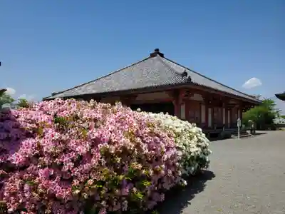 浄土寺のその他建物