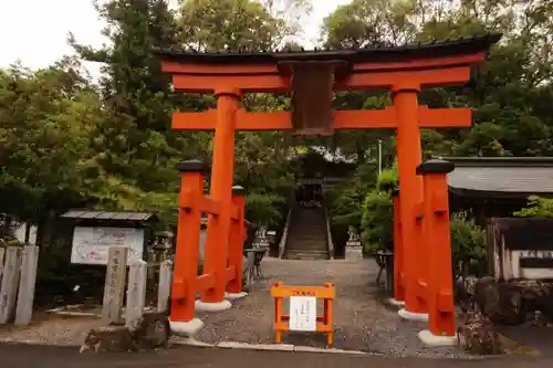 敢國神社の鳥居