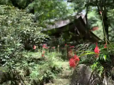 室生寺(奈良県)