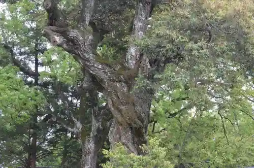 井伊谷宮(静岡県)