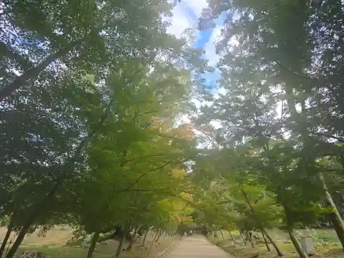 醍醐寺(京都府)