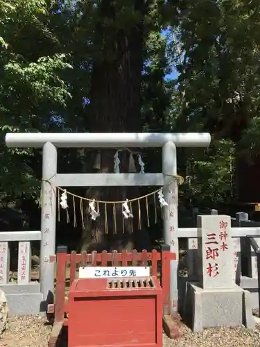 大杉神社の鳥居