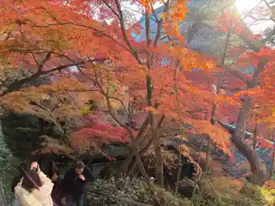 禅林寺(永観堂)(京都府)