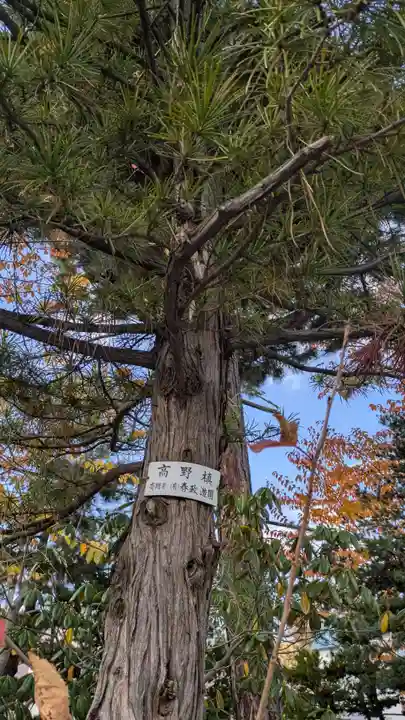 烈々布神社の自然