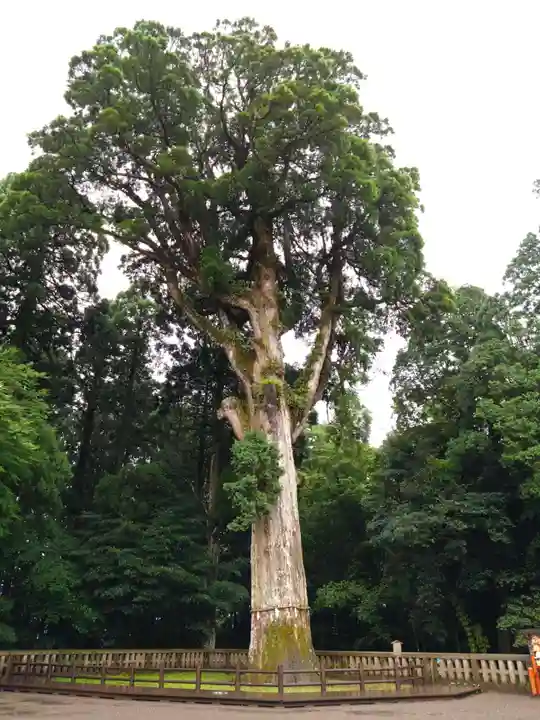 霧島神宮(鹿児島県)