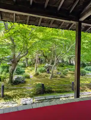 圓光寺(京都府)