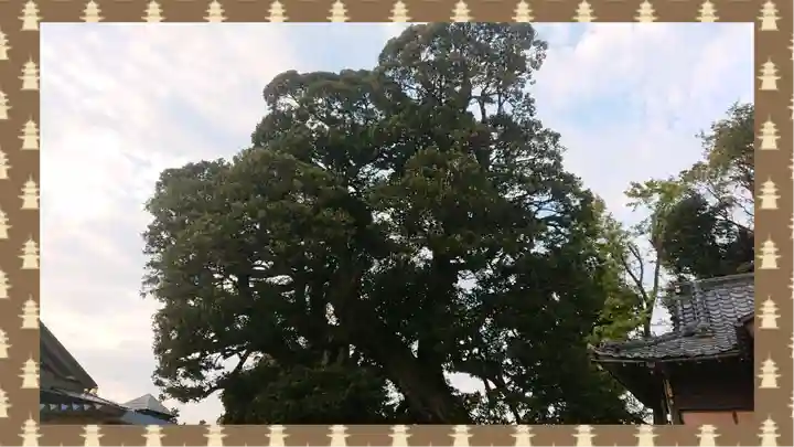 九重神社(埼玉県)