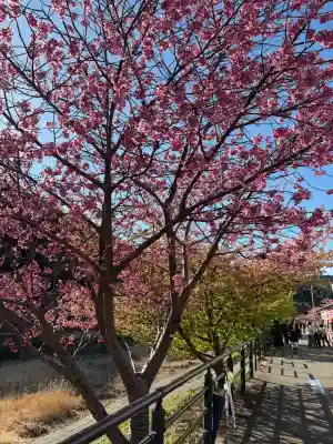 かっぱの寺 栖足寺(静岡県)