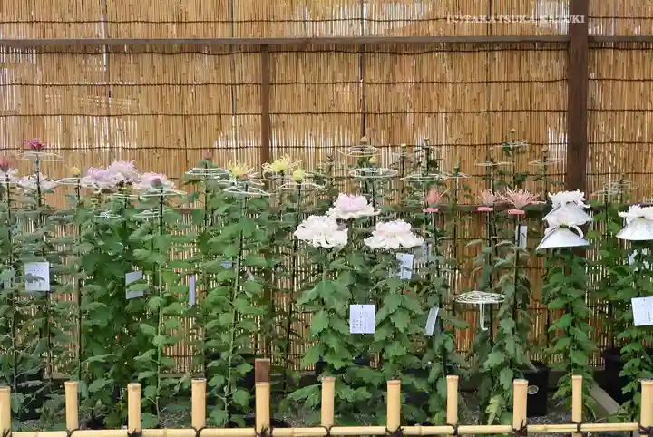 靖國神社(東京都)