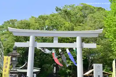 白旗神社の鳥居