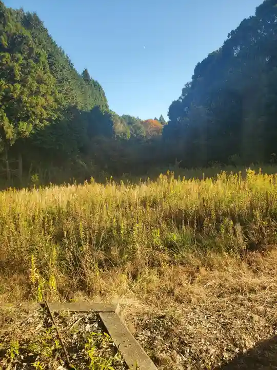夜刀神社(愛宕神社境内社)の周辺
