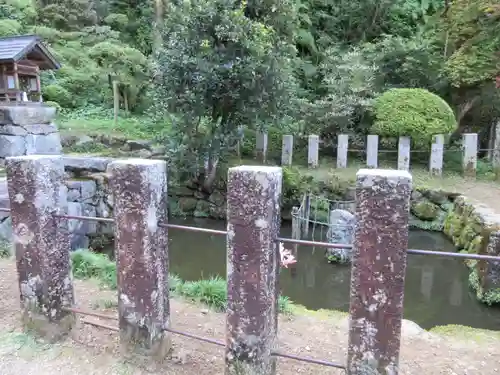 岡寺（龍蓋寺）の庭園