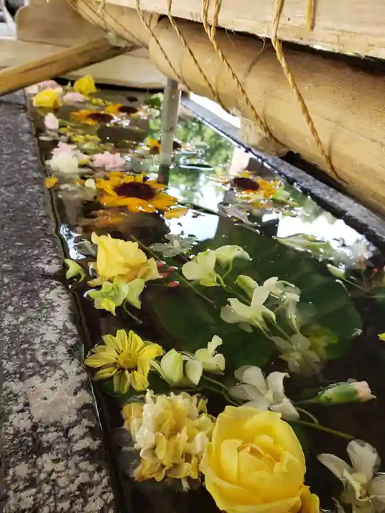 鳩森八幡神社の手水舎