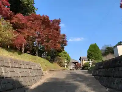 玉泉寺の周辺