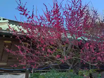 湯島天満宮(東京都)